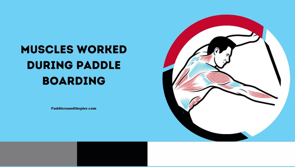 Muscles Worked During Paddle Boarding