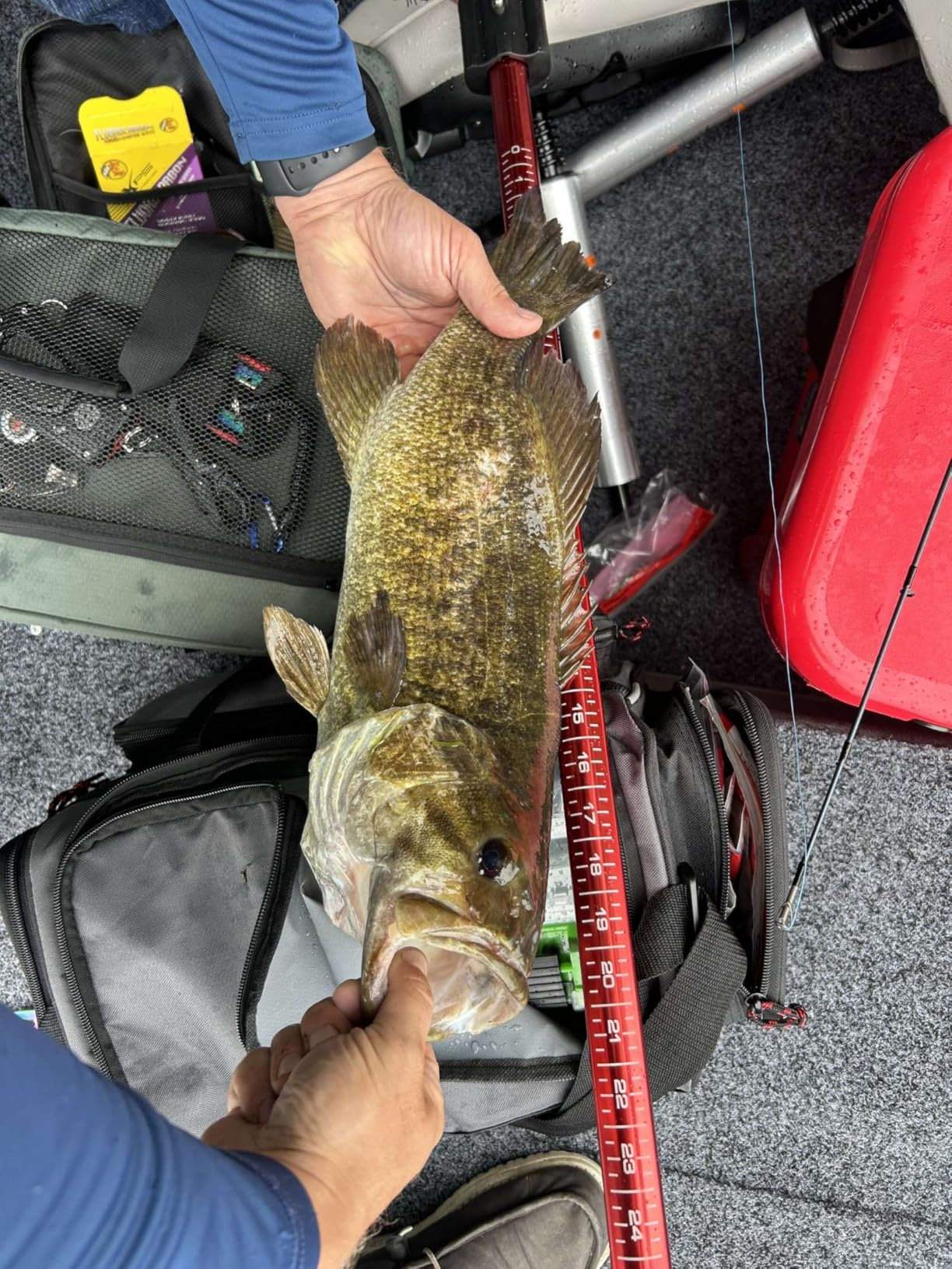 Booyah Blade Spinner-Bait Bass Fishing Lure Customer Review Booyah Blade Spinner-Bait Bass Fishing Lure - Customer Photo 1