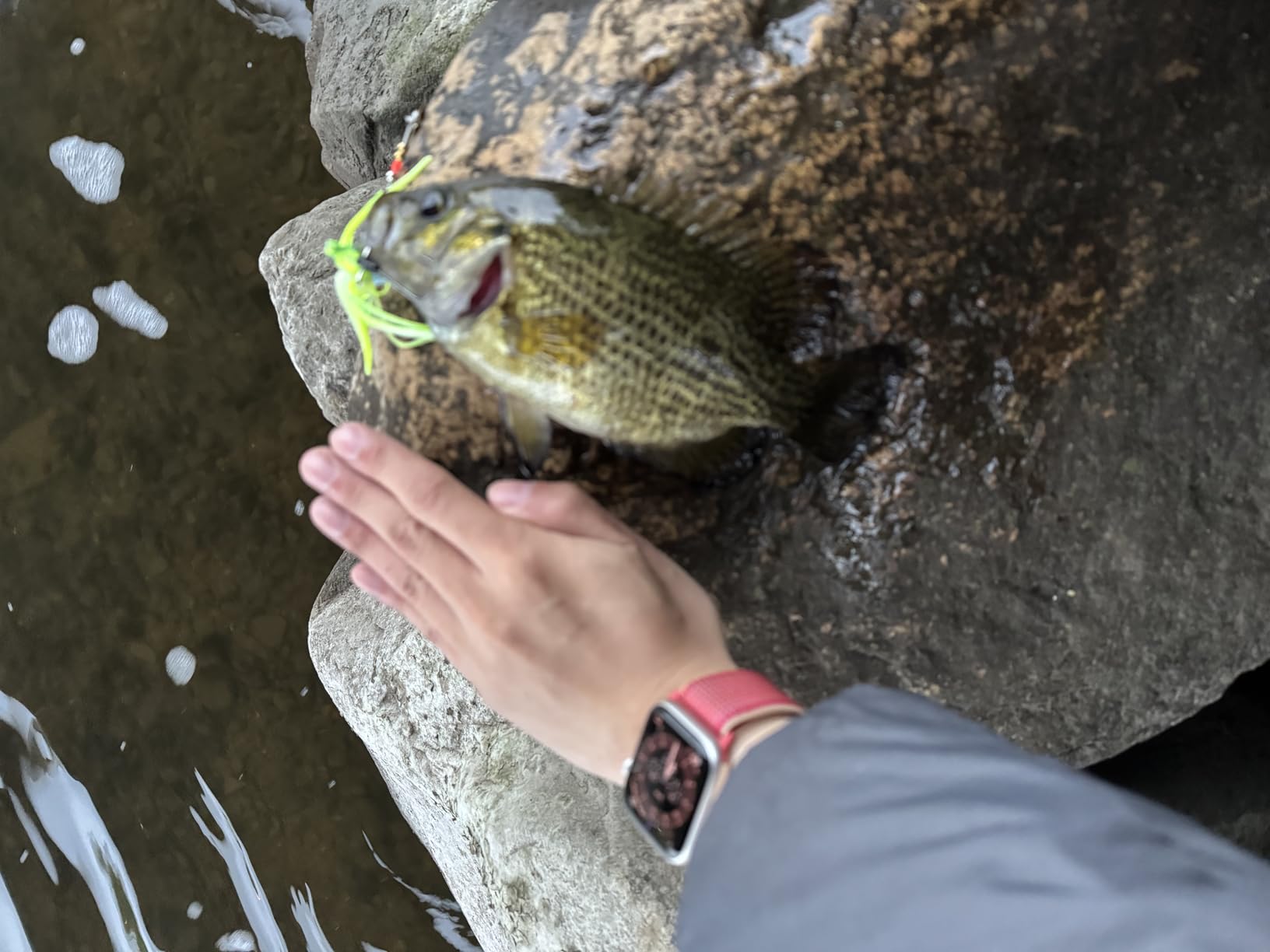 Booyah Blade Spinner-Bait Bass Fishing Lure Customer Review Booyah Blade Spinner-Bait Bass Fishing Lure - Customer Photo 2