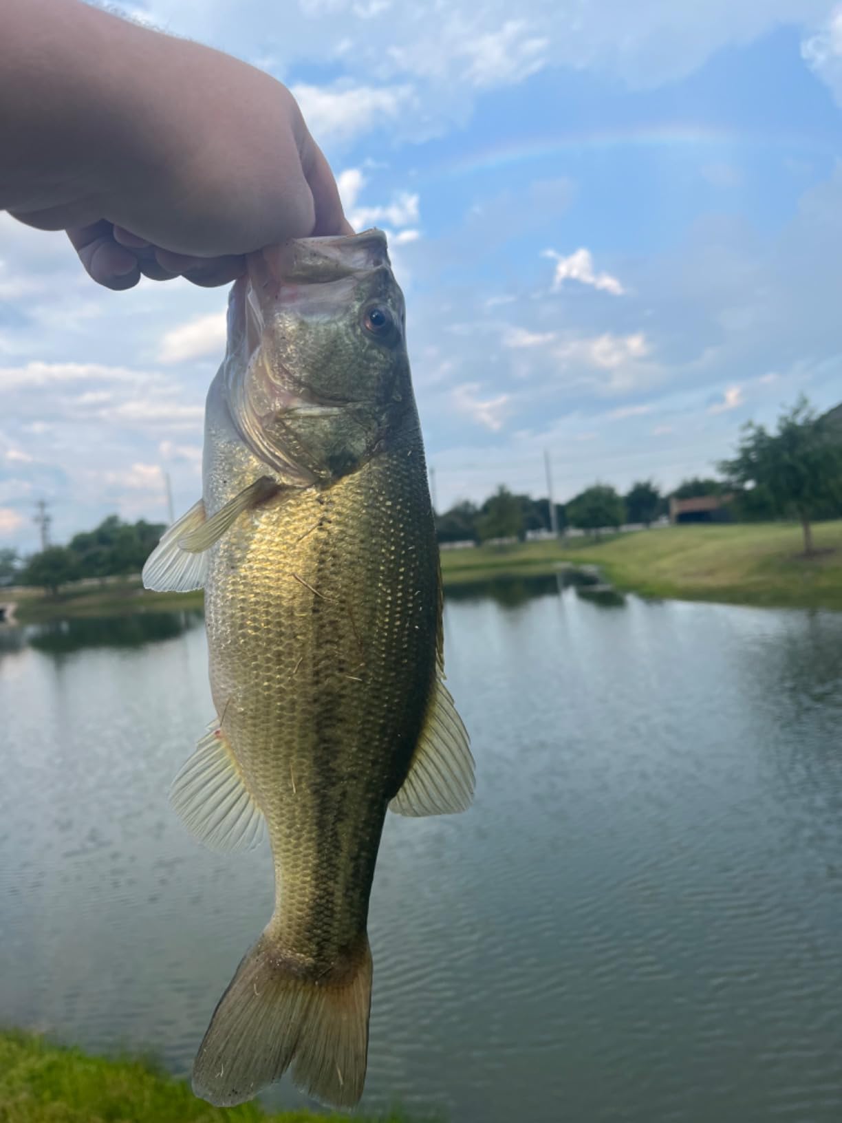 BOOYAH Boo Jig Bass Fishing Lure with Weed Guard Customer Review BOOYAH Boo Jig Bass Fishing Lure with Weed Guard - Customer Photo 1