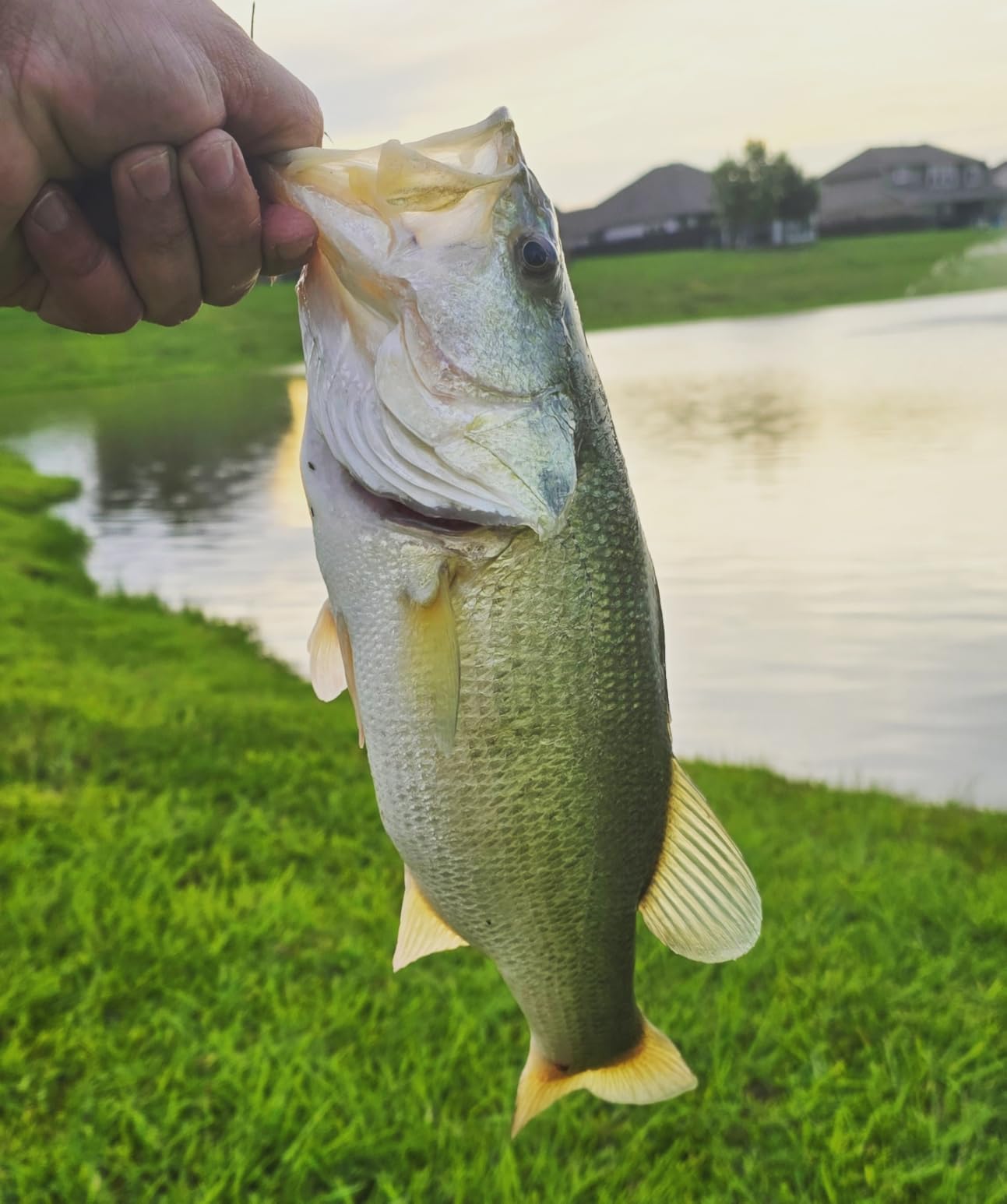 PLUSINNO Fishing Rod and Reel Combos Carbon Fiber Telescopic Fishing Pole with Reel Combo Sea Saltwater Freshwater Kit Fishing Rod Kit Customer Review PLUSINNO Fishing Rod and Reel Combos Carbon Fiber Telescopic Fishing Pole with Reel Combo Sea Saltwater Freshwater Kit Fishing Rod Kit - Customer Photo 1