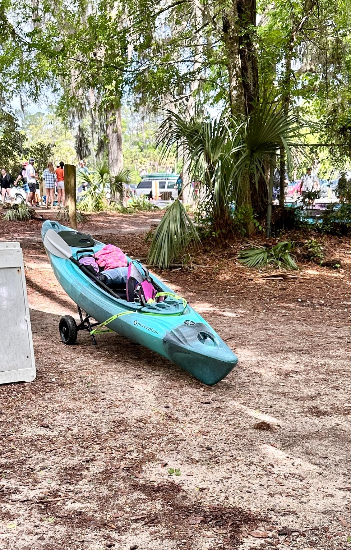 Perception Joyride 10 - Sit Inside Kayak for Adults and Kids - Recreational and Multi-Water Kayak with Selfie Slot - 10' - Customer Photo 2