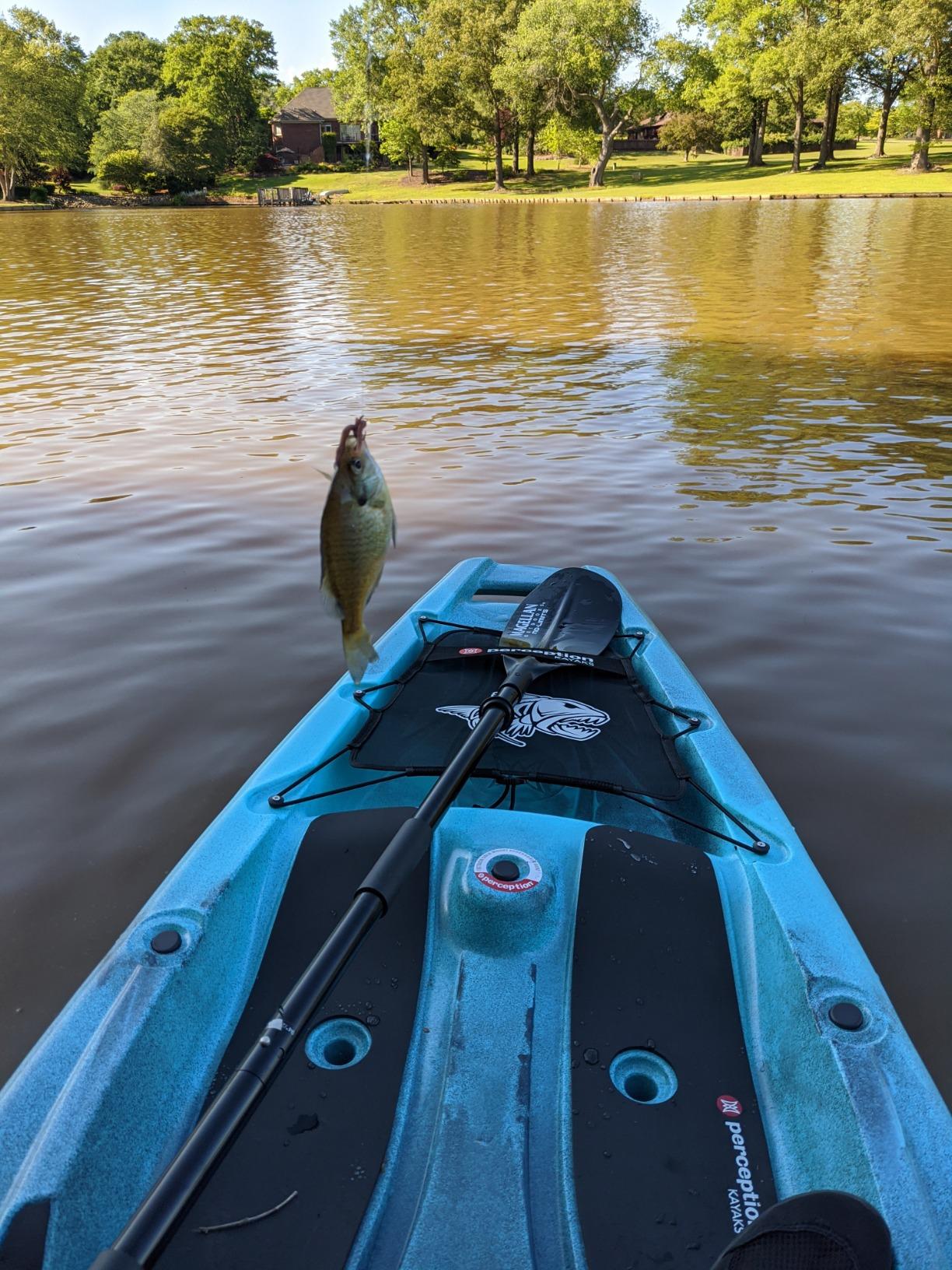 Perception Kayaks Outlaw 11.5 | Sit on Top Fishing Kayak | Fold Away Lawn Chair Seat | 4 Rod Holders | Integrated Tackle Trays | 11' 6