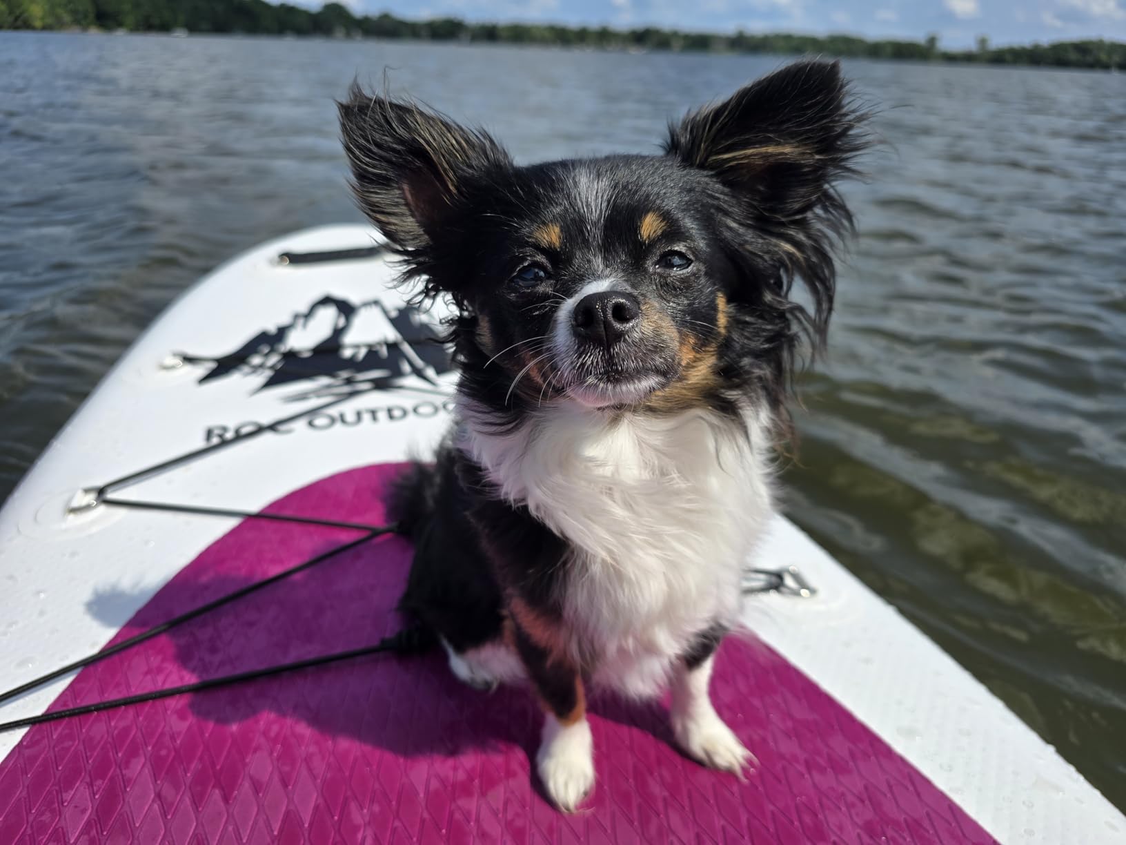 Roc Inflatable Stand Up Paddle Boards with Premium SUP Paddle Board Accessories, Wide Stable Design, Non-Slip Comfort Deck for Youth & Adults Customer Review Roc Inflatable Stand Up Paddle Boards with Premium SUP Paddle Board Accessories, Wide Stable Design, Non-Slip Comfort Deck for Youth & Adults - Customer Photo 2