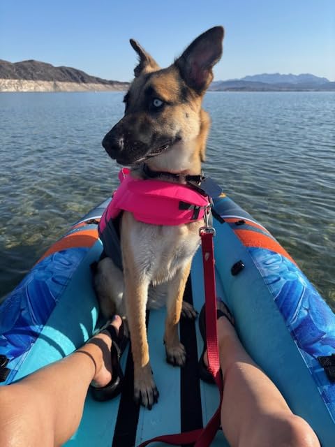 UPWELL 13'6 UPWELL 13'6