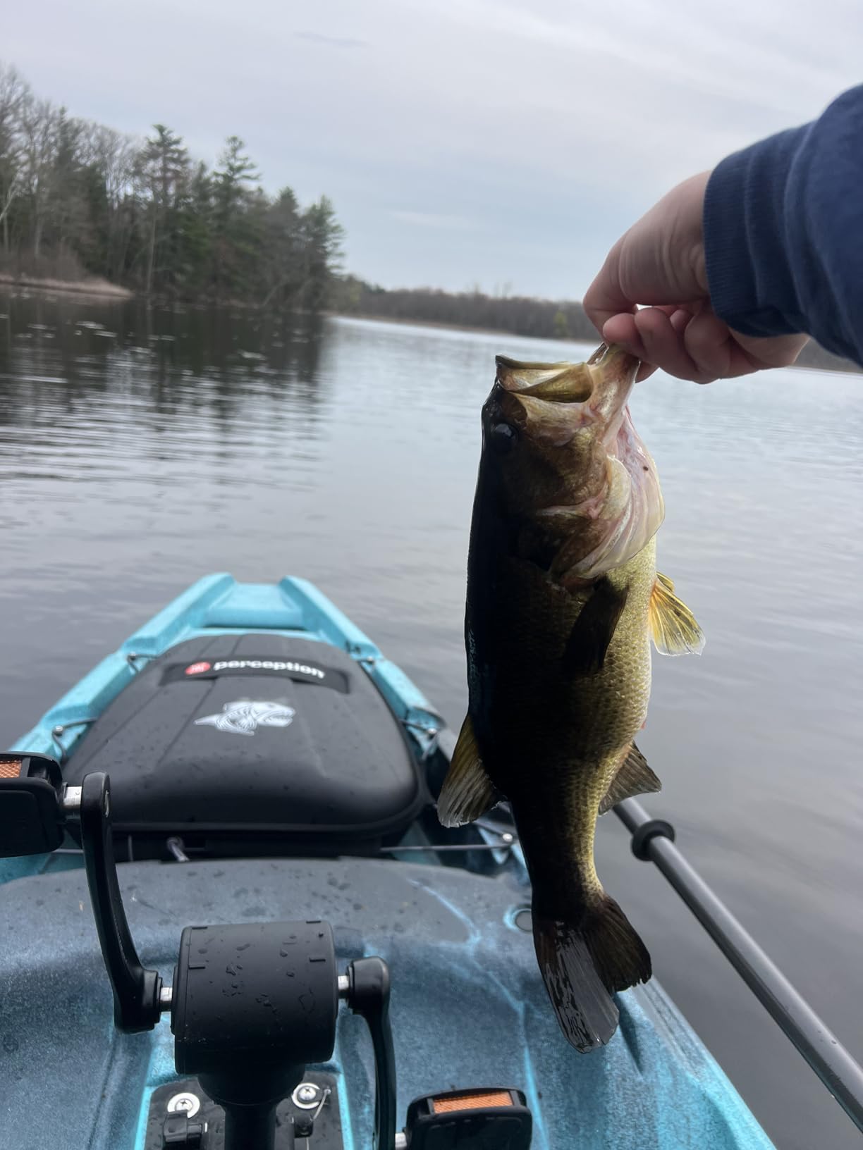 Perception Showdown Sit on Top Pedal Drive Fishing Kayak - Fold Away Lawn Chair Seat Customer Review Perception Showdown Sit on Top Pedal Drive Fishing Kayak - Fold Away Lawn Chair Seat - Customer Photo 2