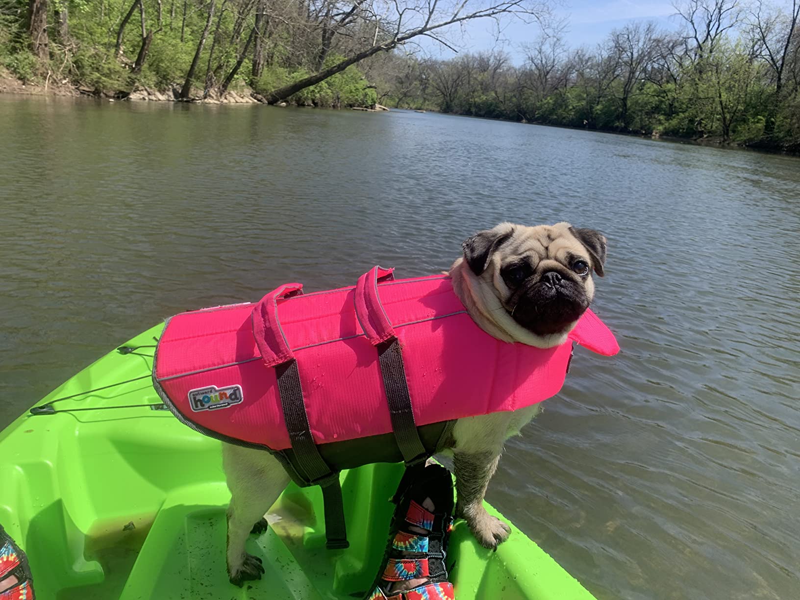 Lifetime Kokanee Sit-On-Top Kayak, Lime, 10'6
