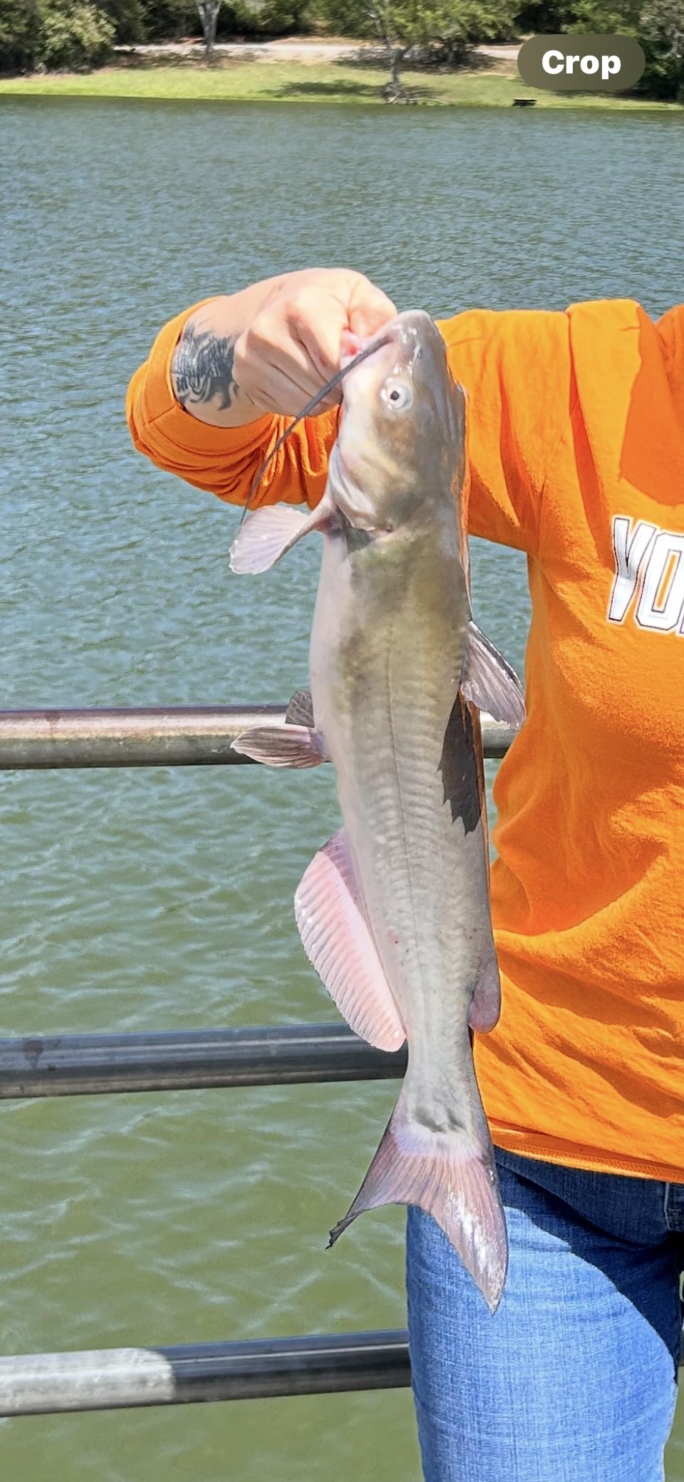 Reelsonar iBobber portable wireless bluetooth fish finder depth finder with depth range of 135 feet 10+ hrs battery life with IOS & Android App Wireless and Watch App - Customer Photo 1