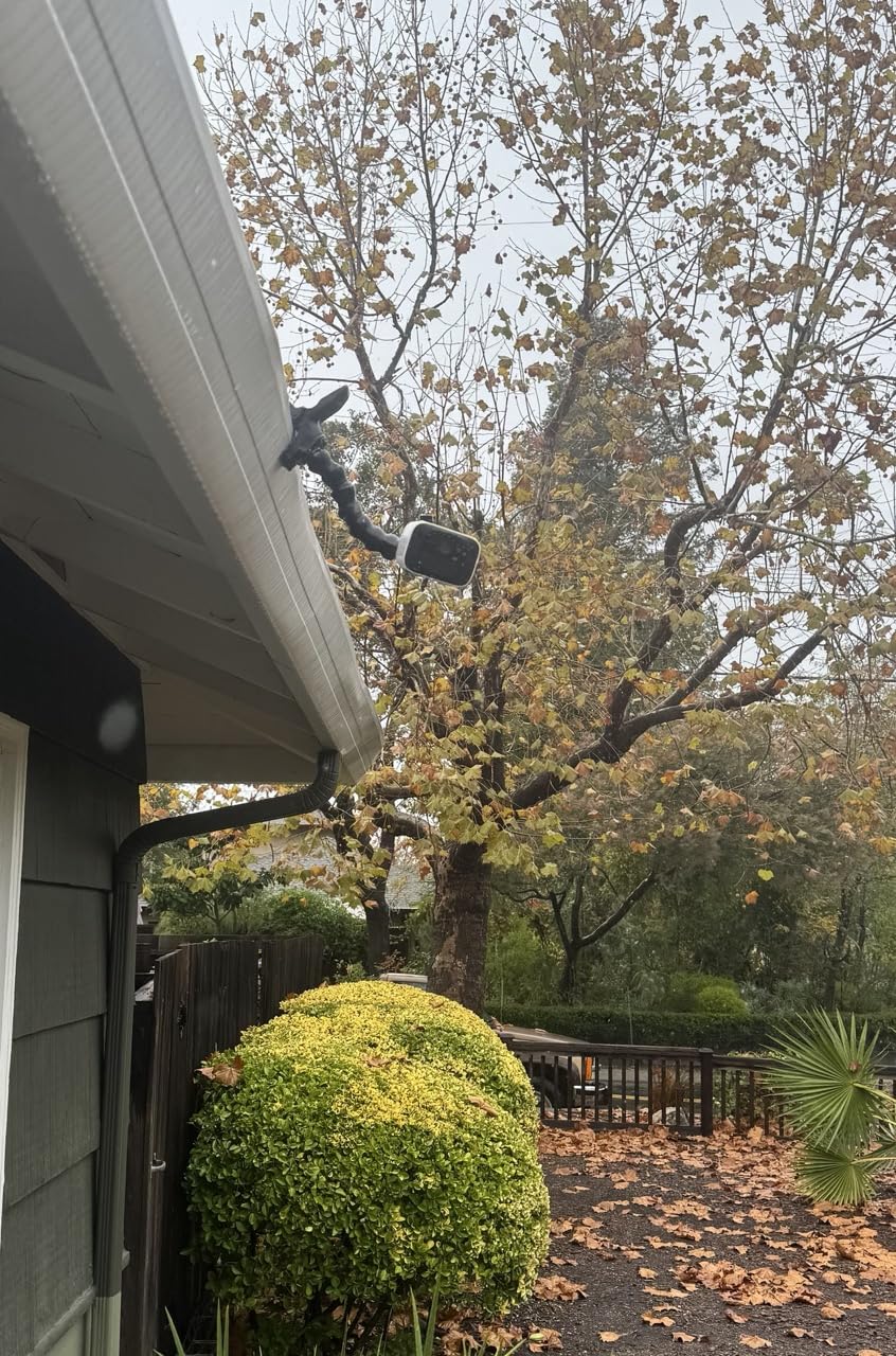 Suptig Jaws Flex Clamp Mount Gooseneck Mount for GoPro Hero 13 Hero 12 Hero 11 Hero 10 Hero 9 Hero 8 Hero 7 Hero 6 Hero 5 Hero 4 Session Hero 3+ Hero 3 Akaso EK7000 DJI osmo Arlo Action Camera. Customer Review Suptig Jaws Flex Clamp Mount Gooseneck Mount for GoPro Hero 13 Hero 12 Hero 11 Hero 10 Hero 9 Hero 8 Hero 7 Hero 6 Hero 5 Hero 4 Session Hero 3+ Hero 3 Akaso EK7000 DJI osmo Arlo Action Camera. - Customer Photo 1