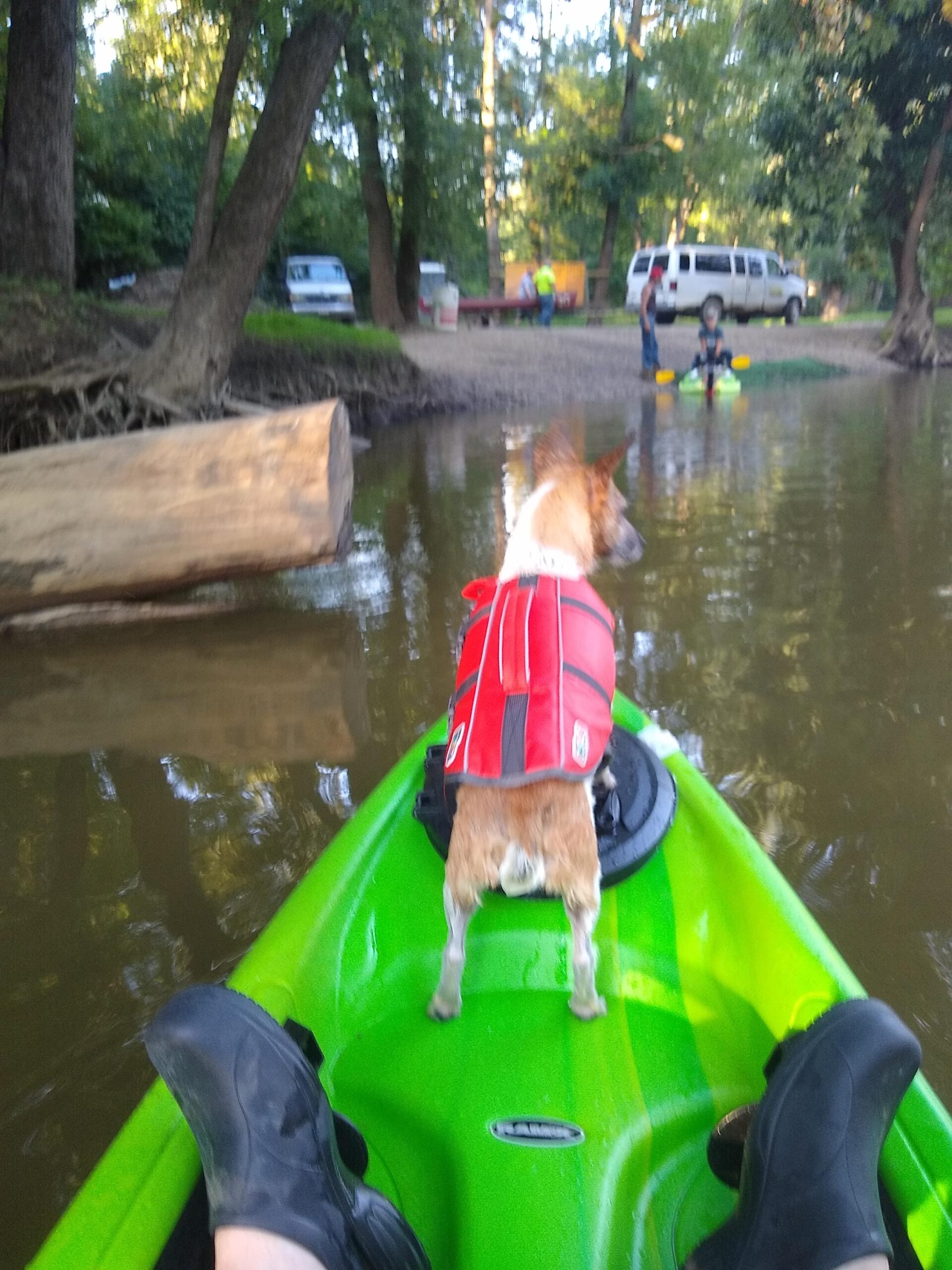 Pelican Boats - Universal Kayak & SUP Car-Top Roof Carrier Kit – PS0481-3 - Fits Vehicles – Heavy Duty & Safe - Customer Photo 1