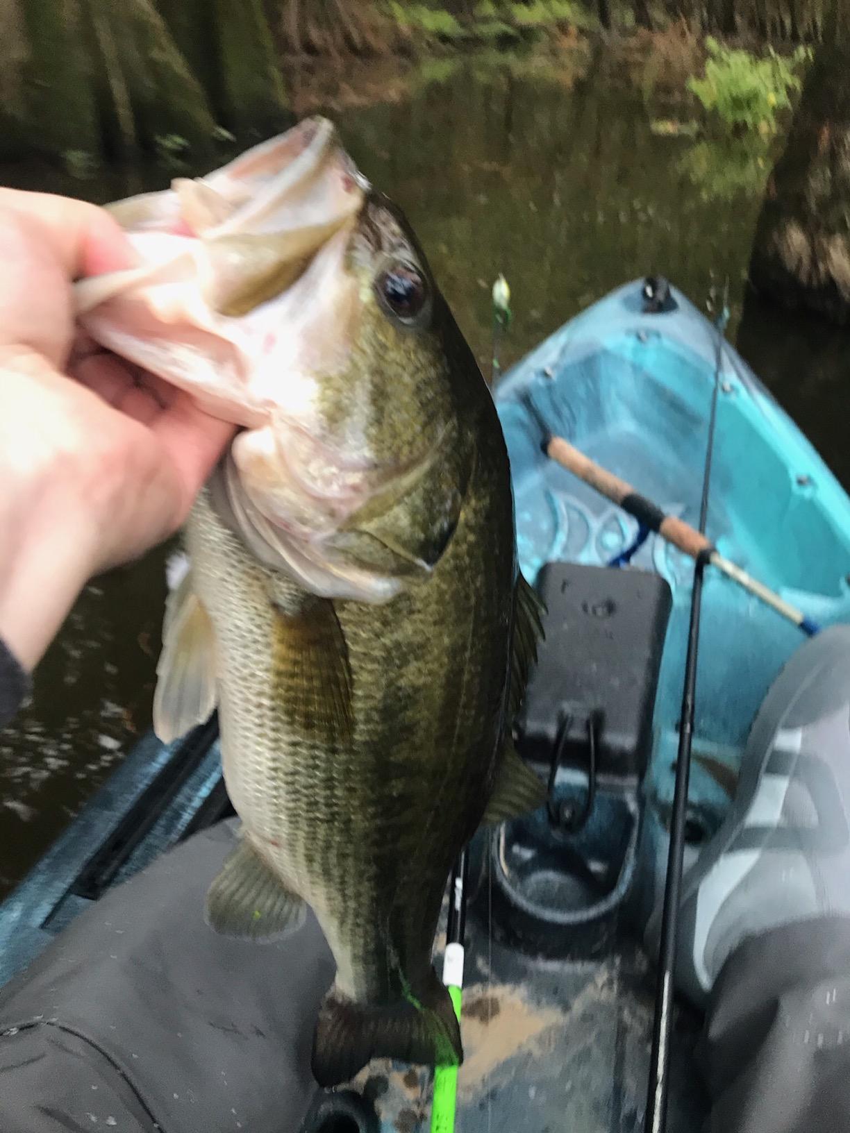 Perception Pescador Pro 12 | Sit on Top Fishing Kayak with Adjustable Lawn Chair Seat | Large Front and Rear Storage | 12 - Customer Photo 1