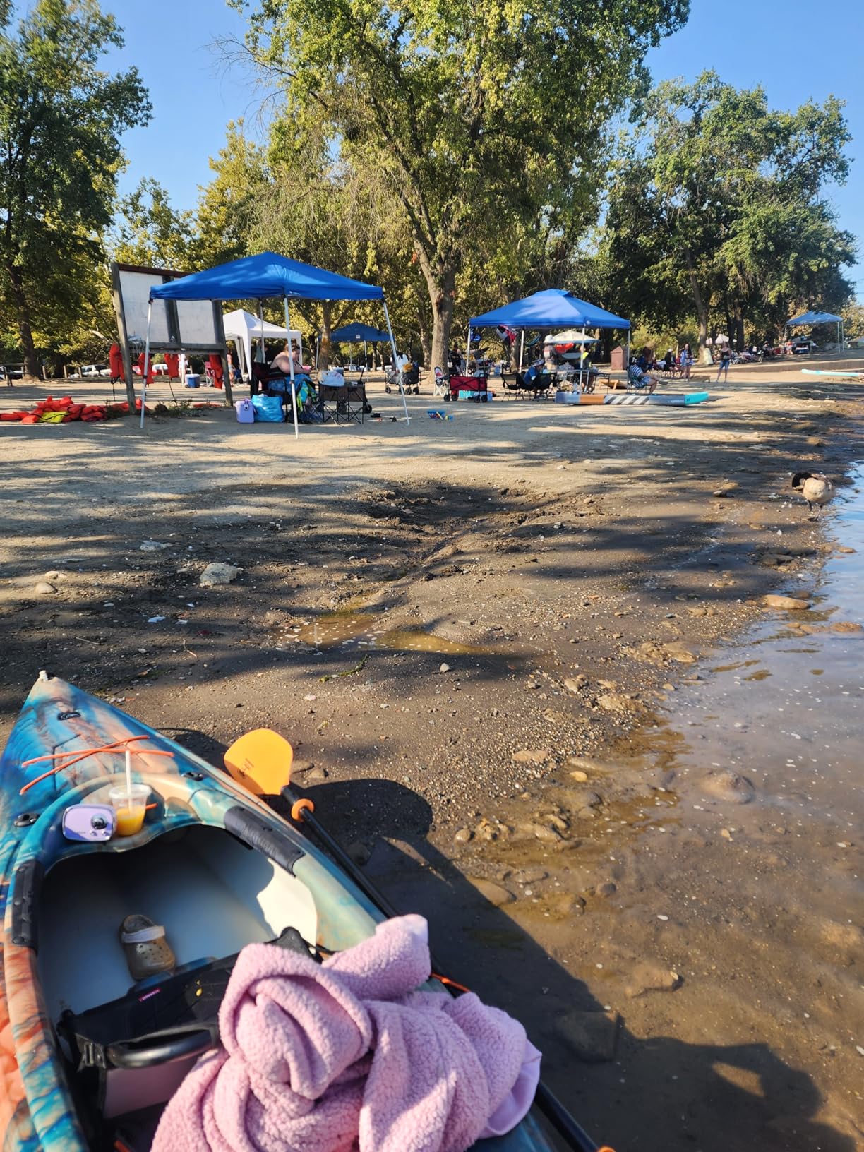 Pelican Argo 100XR - Premium Sit-in Recreational Kayak - Lightweight one Person Kayak - 10 ft - Customer Photo 4