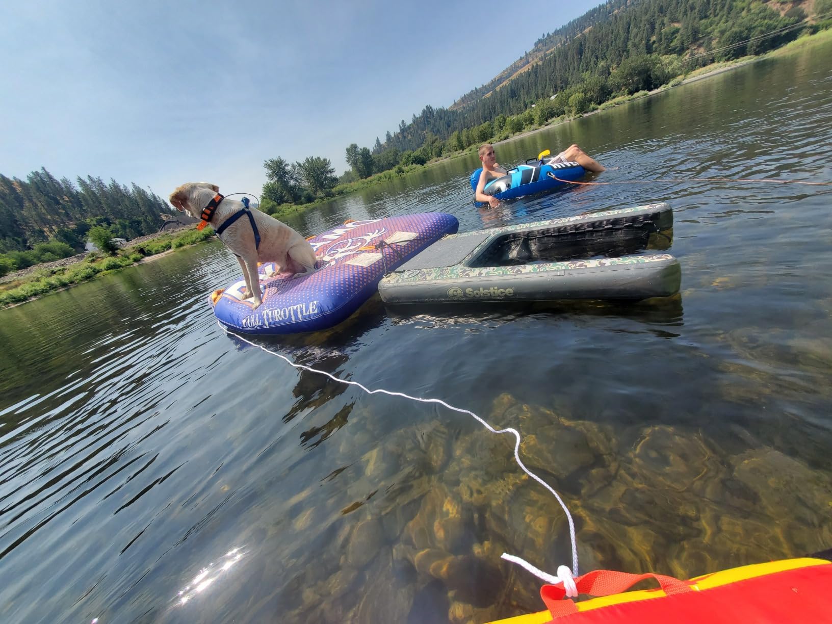 SOLSTICE Inflatable Pup Plank, Dog Water Ramp for Boats & Docks, Mini, 30 lb Capacity - Floating Platform for Pets for Lake, River, Beach & Swimming Pool, Includes Pump, Patent-Protected Design - Customer Photo 1