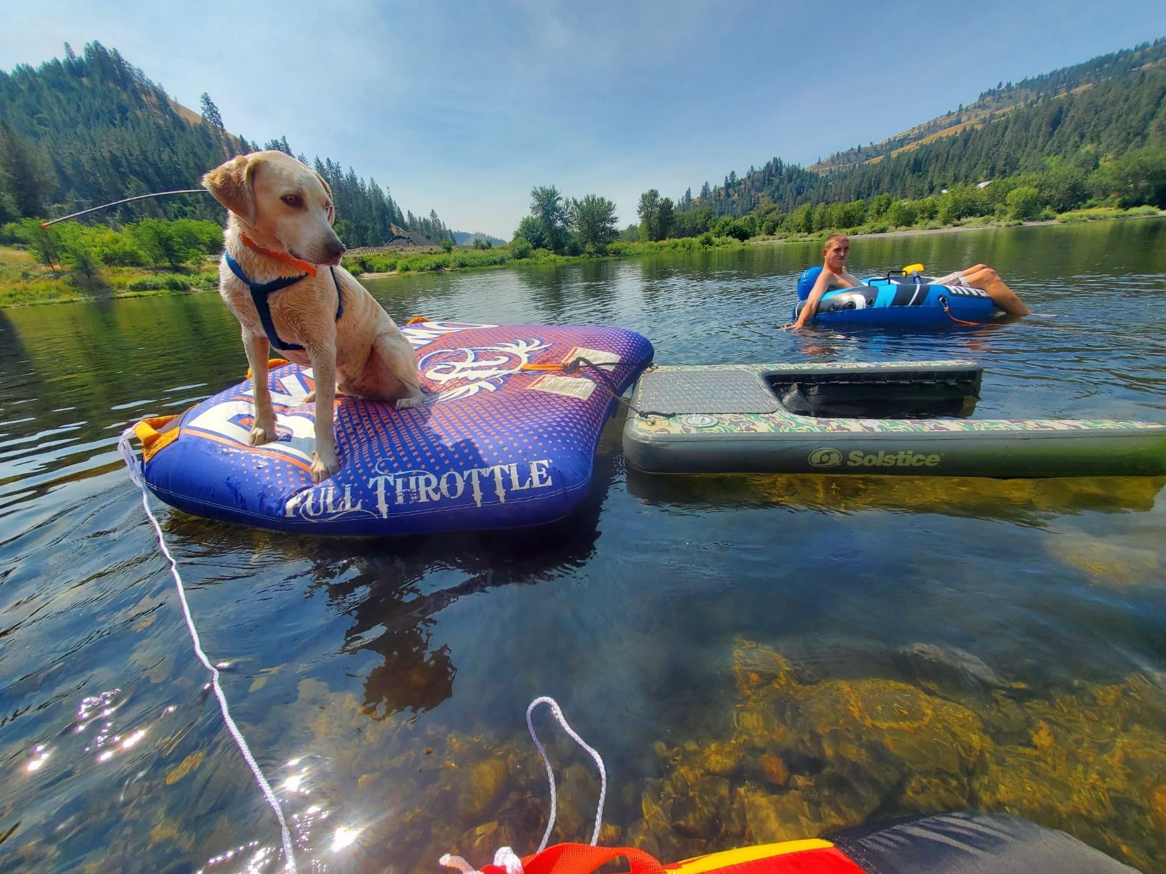 SOLSTICE Inflatable Pup Plank, Dog Water Ramp for Boats & Docks, Mini, 30 lb Capacity - Floating Platform for Pets for Lake, River, Beach & Swimming Pool, Includes Pump, Patent-Protected Design - Customer Photo 3