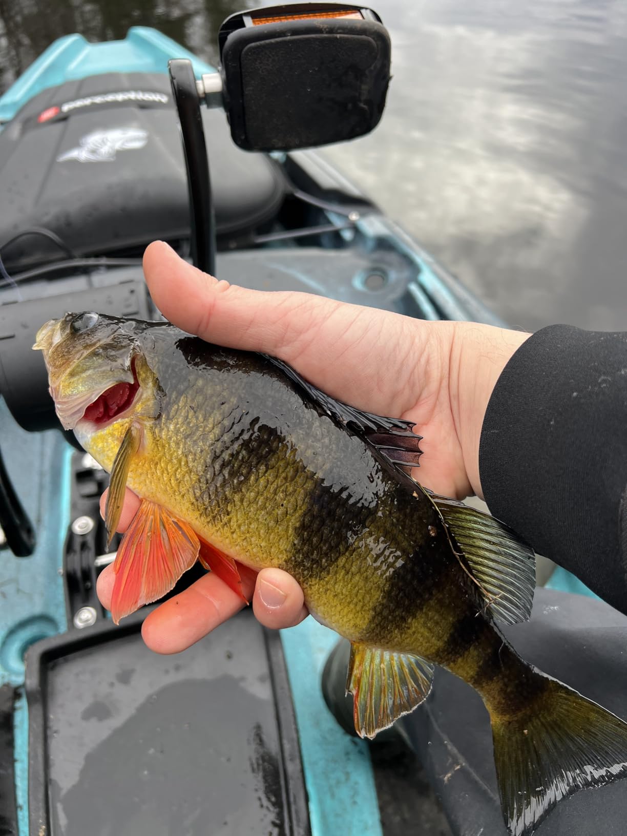 Perception Showdown Sit on Top Pedal Drive Fishing Kayak - Fold Away Lawn Chair Seat Customer Review Perception Showdown Sit on Top Pedal Drive Fishing Kayak - Fold Away Lawn Chair Seat - Customer Photo 1