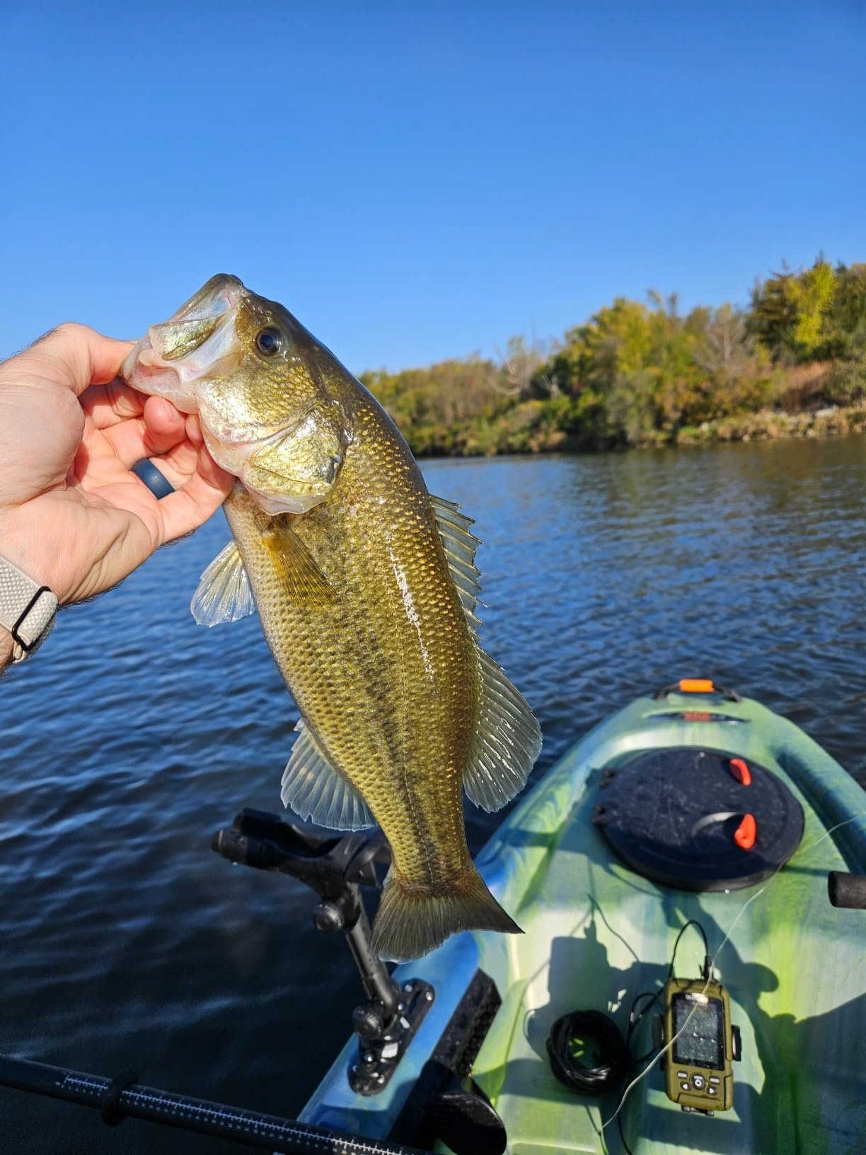 Pelican Catch Classic Angler - Customer Photo 2
