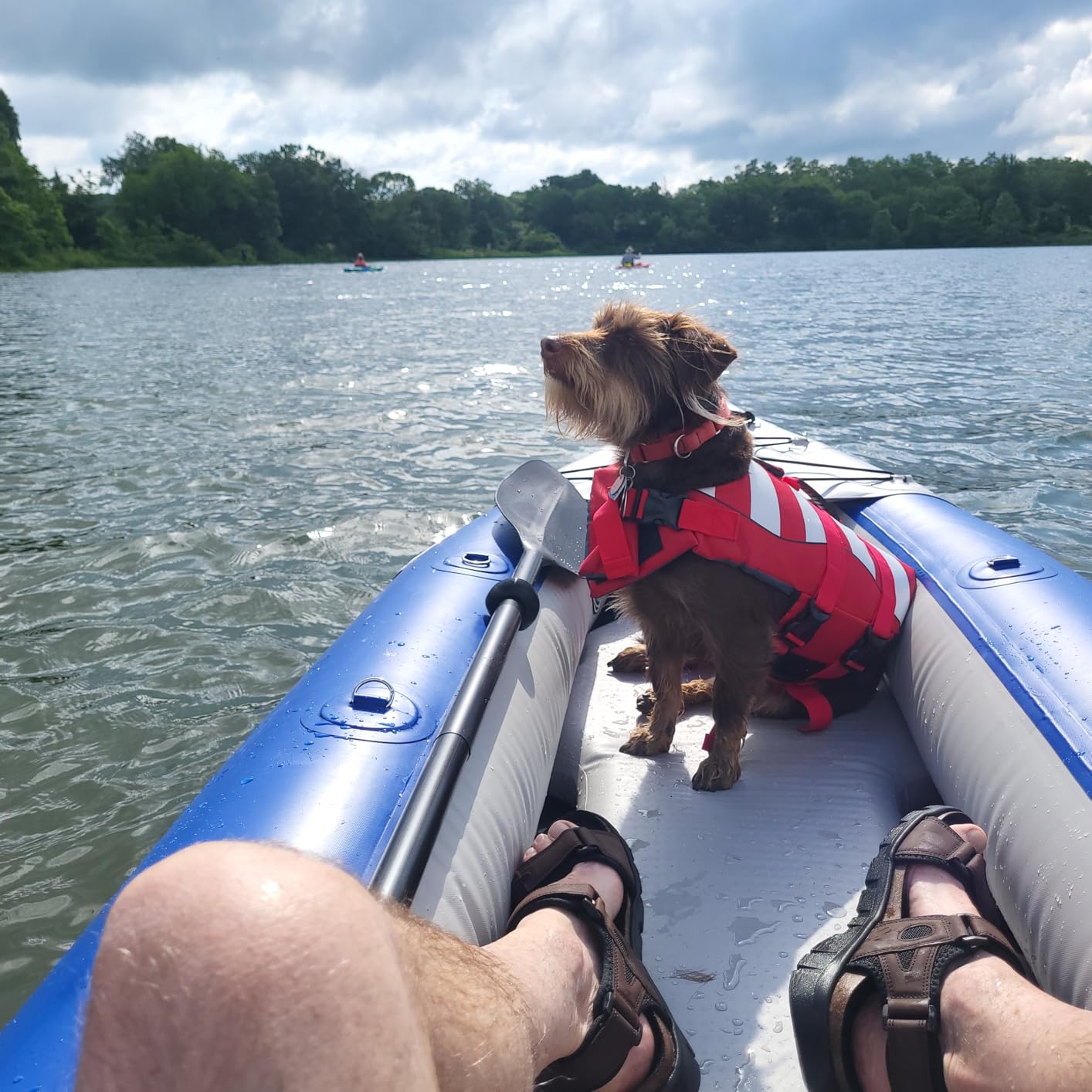 Sea Eagle 420X Explorer Inflatable Kayak- Fishing, Touring, Camping, Exploring &White Watering-Self Bailing, Removable Skeg, Drop Stitch Floor - Customer Photo 2